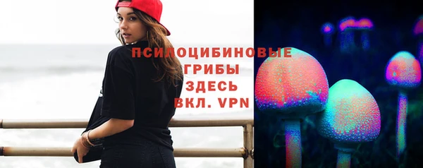ешки Армянск